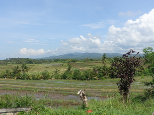 Ubud’s Temples, Monkeys, and Rice Terraces