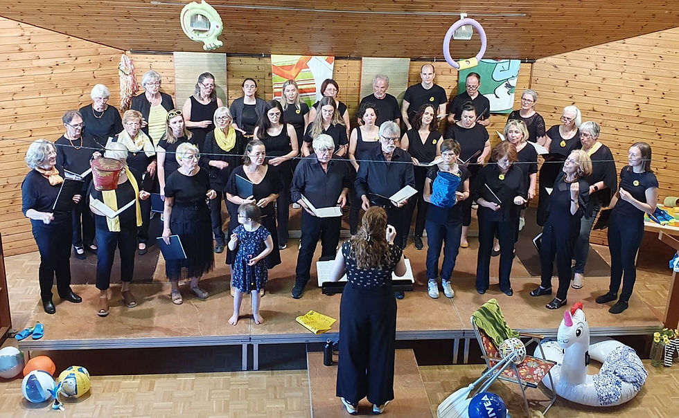 Teilnahme Projektchor: Singen verbindet - Freundschaft klingt.
