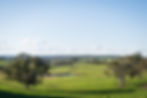 RLM SP20 Butmaroo Farmstay 02.jpg