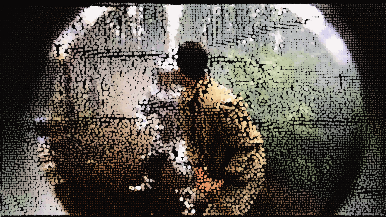 TGS GIF 23.GIF