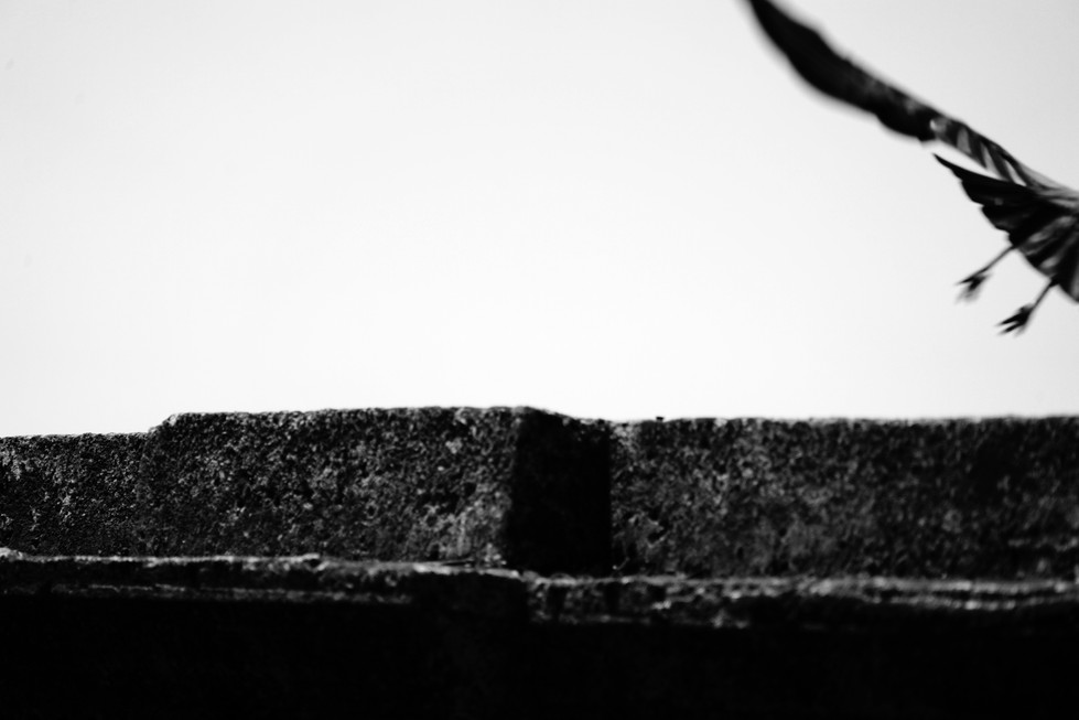 Alienation of Genuineness / Özgünlüğün D