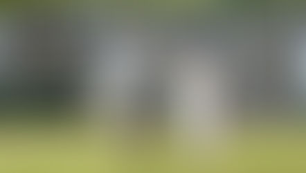 Weekend Review: 27th/28th June