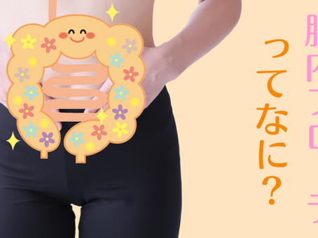 腸内フローラってなに？