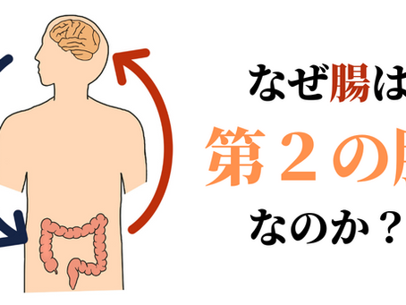 なぜ腸は「第２の脳」なのか？