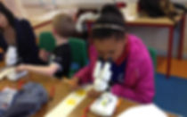 Child draws what she sees through a microscope