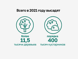 Миллион деревьев.jpg