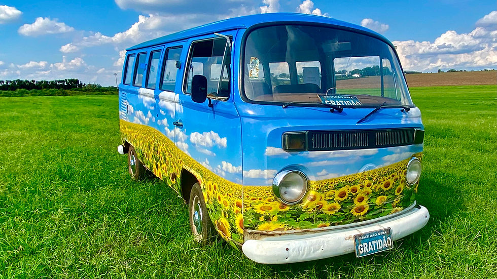 a custom wrapped vw bay window bus