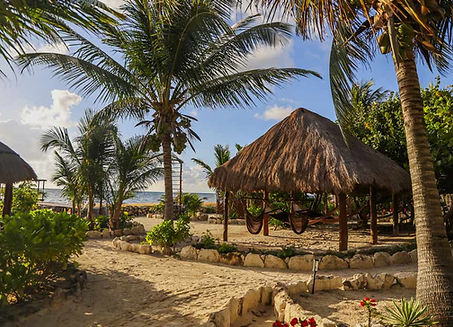 hammock-palapa-2.jpg