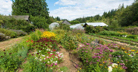 ALM Organic Farm