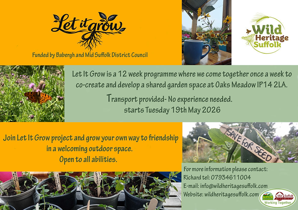 LIG 26 leaflet Final.jpg