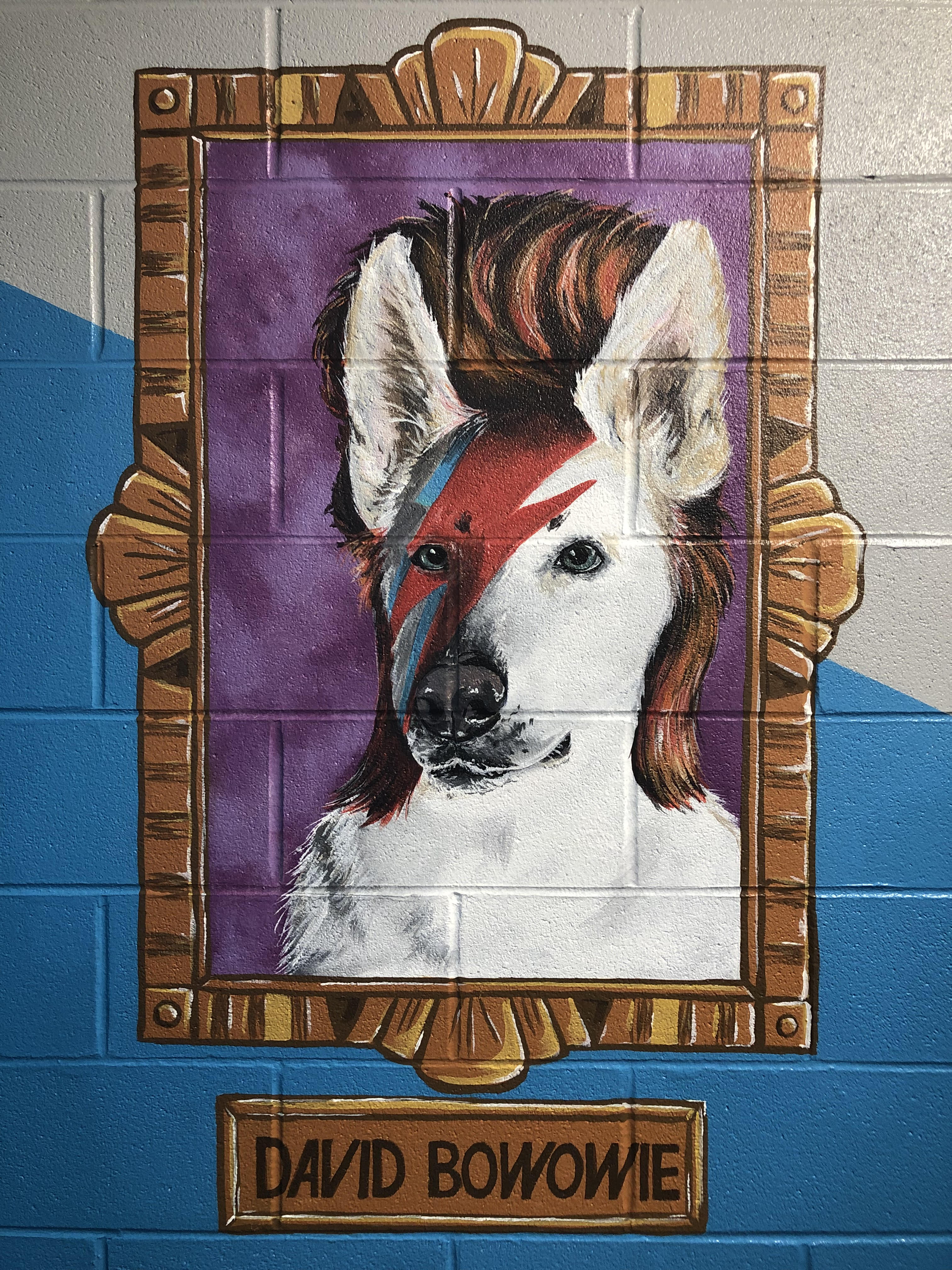 DavidBowowie