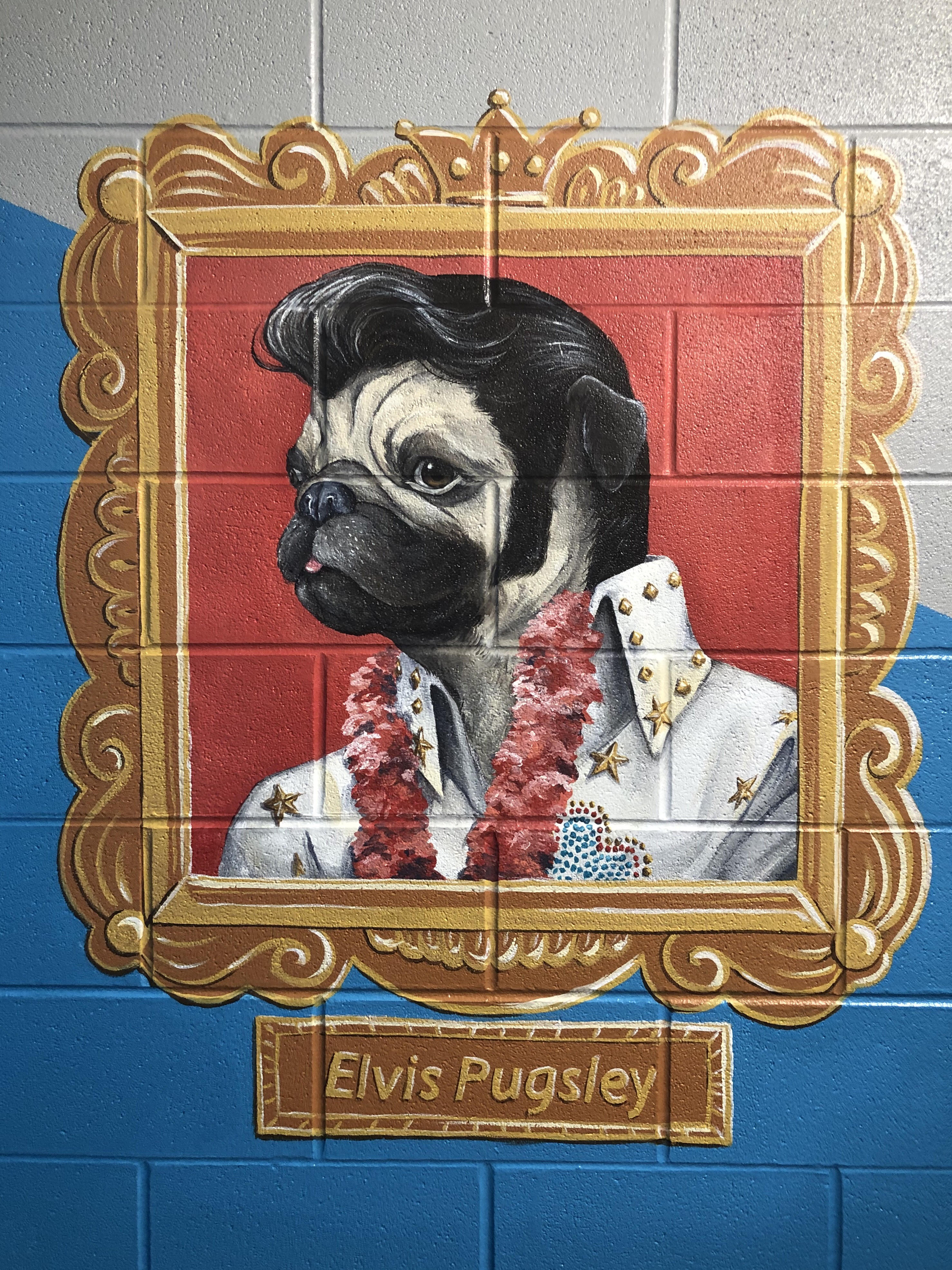 ElvisPugsley