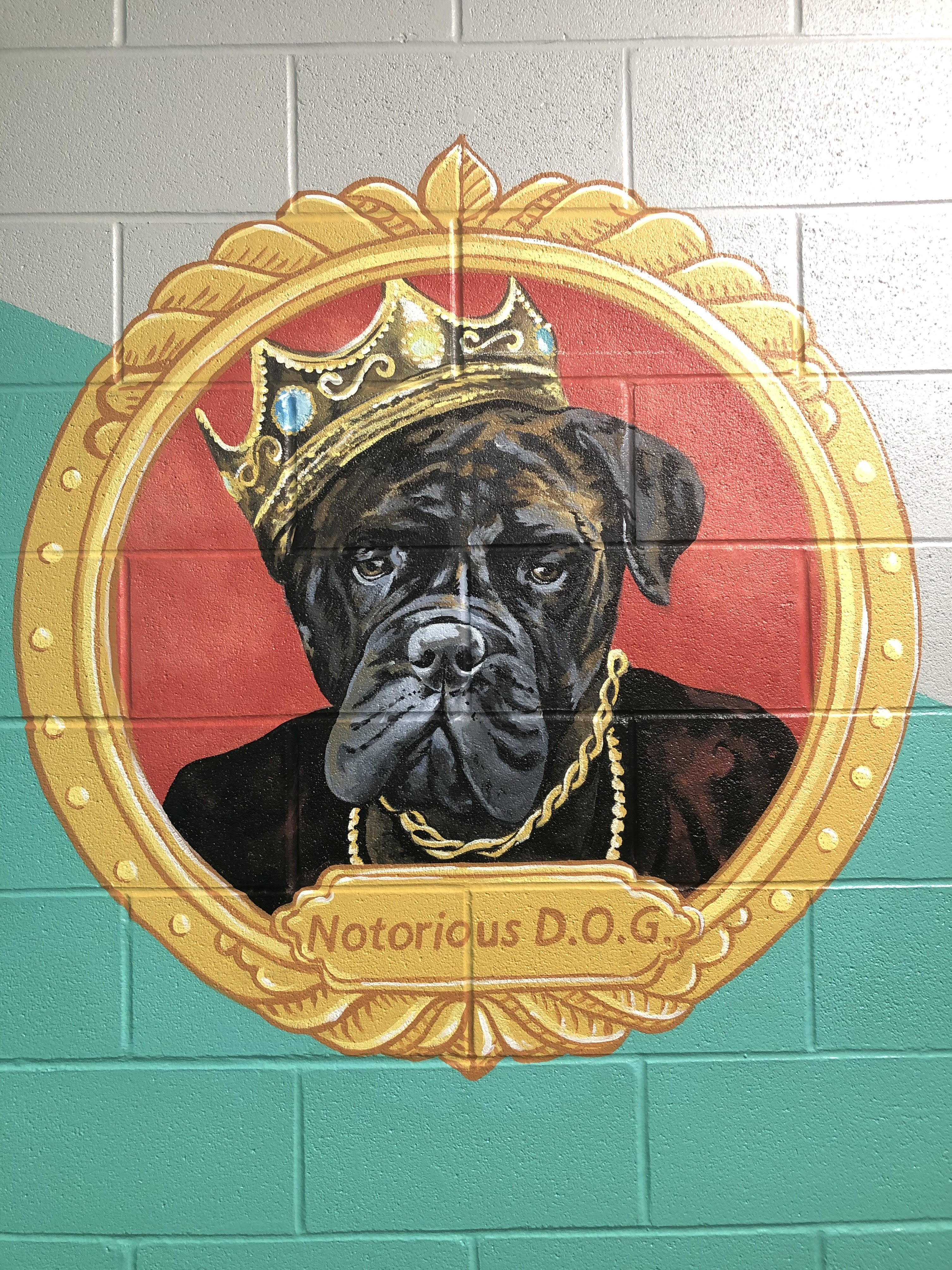 NotoriousD.O.G.