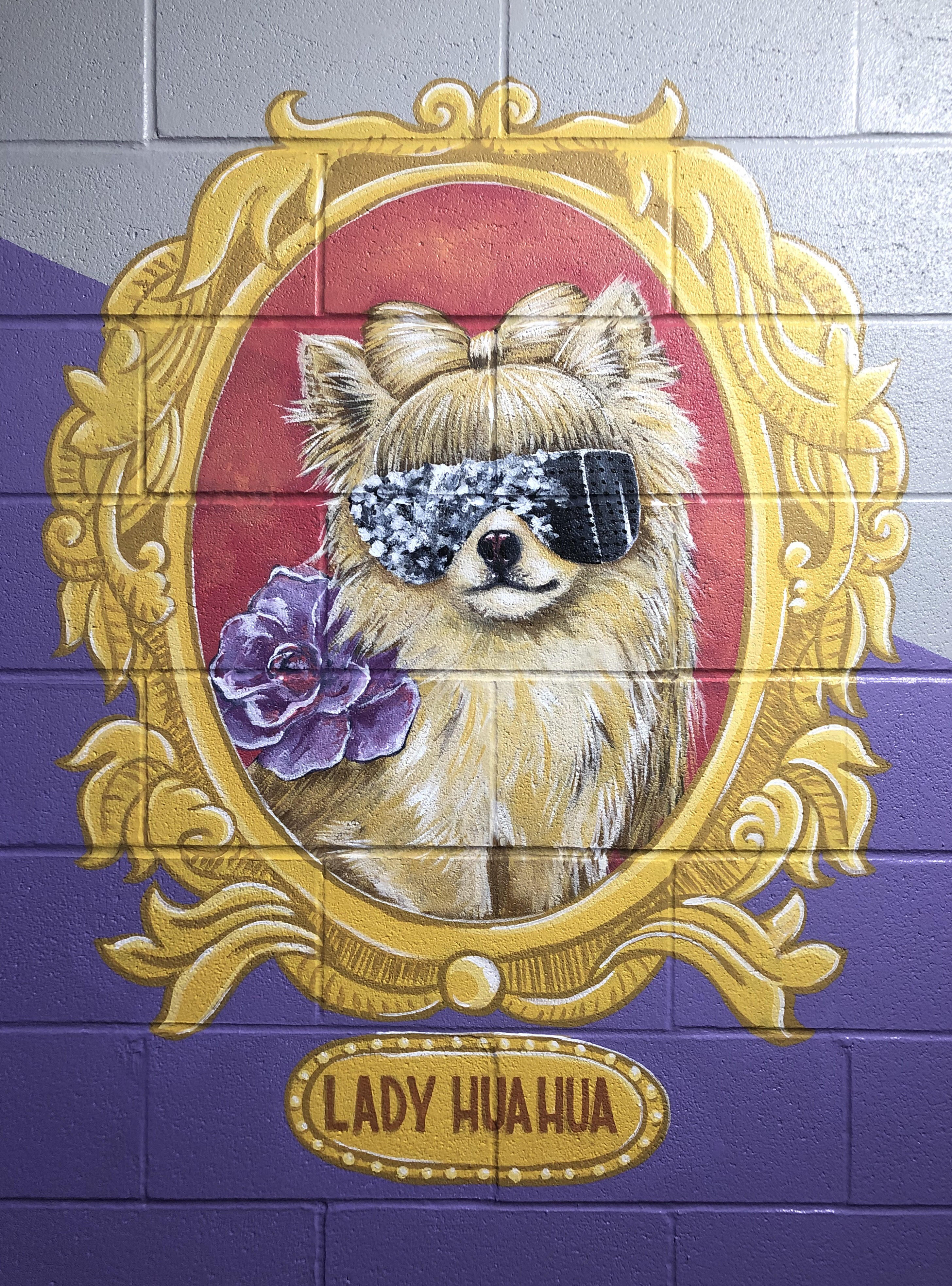 LadyHuaHua