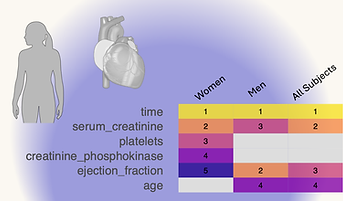 EXPLANA feature selection results: Clinical variables related to heart failure survival in women and men