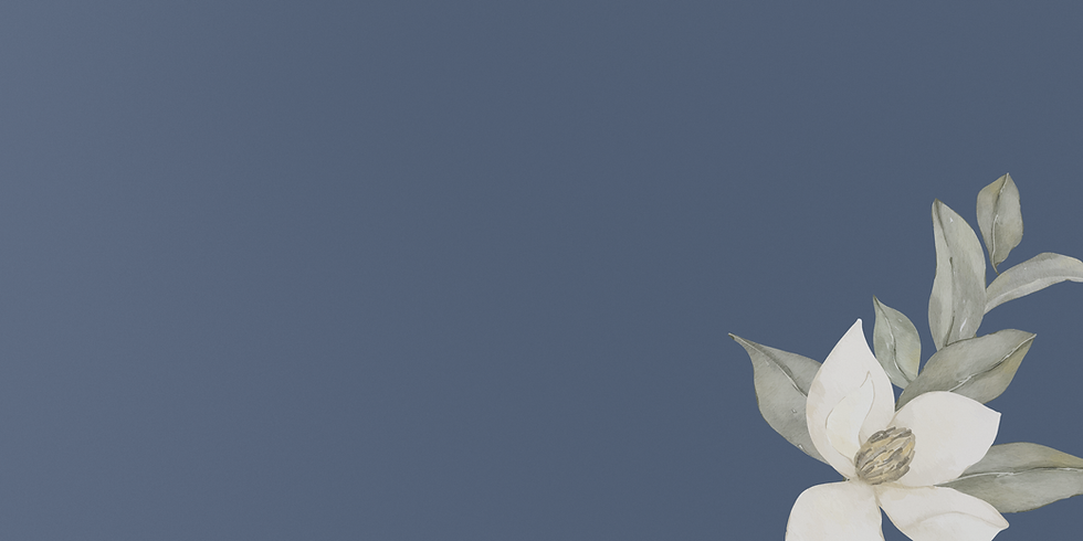 Círculo de Duelo (Banner (horizontal)) (1).png