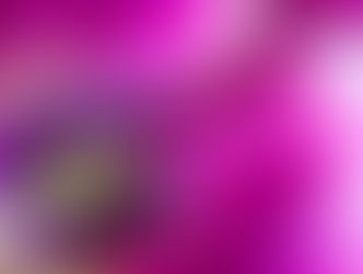 מִפְּנֵי שֶׁהַקּול יָפֶה לַבְּשמִים