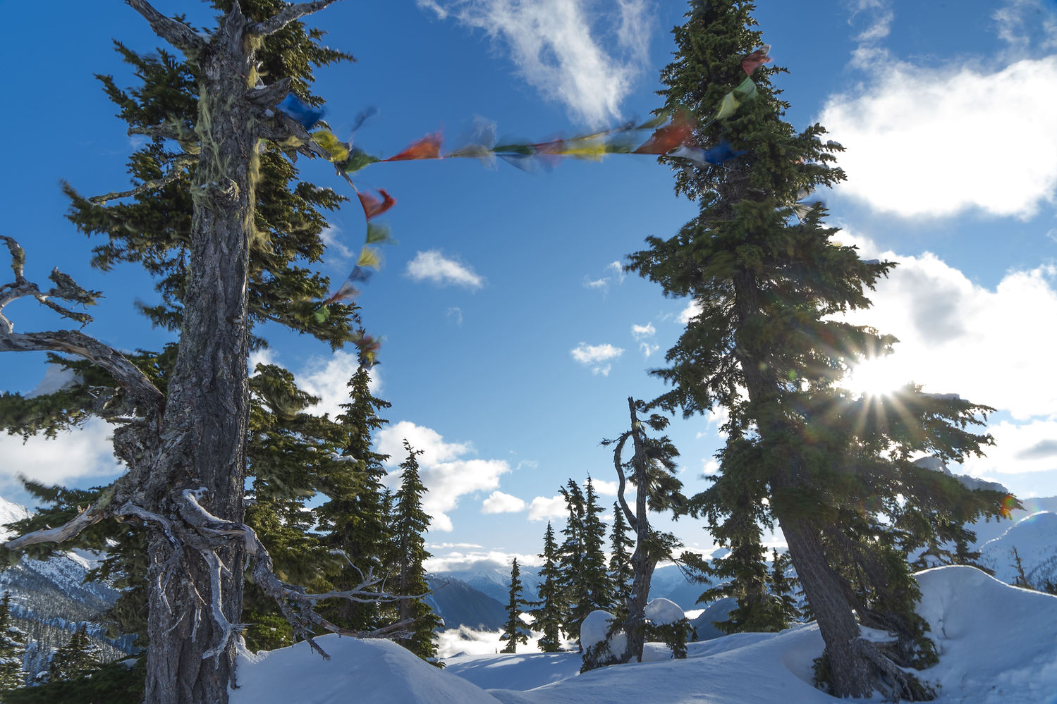 Prayer flags in the wind - Kai Jazen.jpg