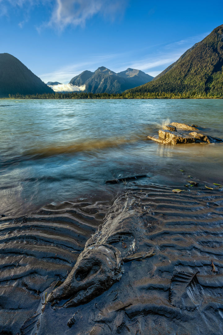 Breaking down  - Jeanine Phillippe