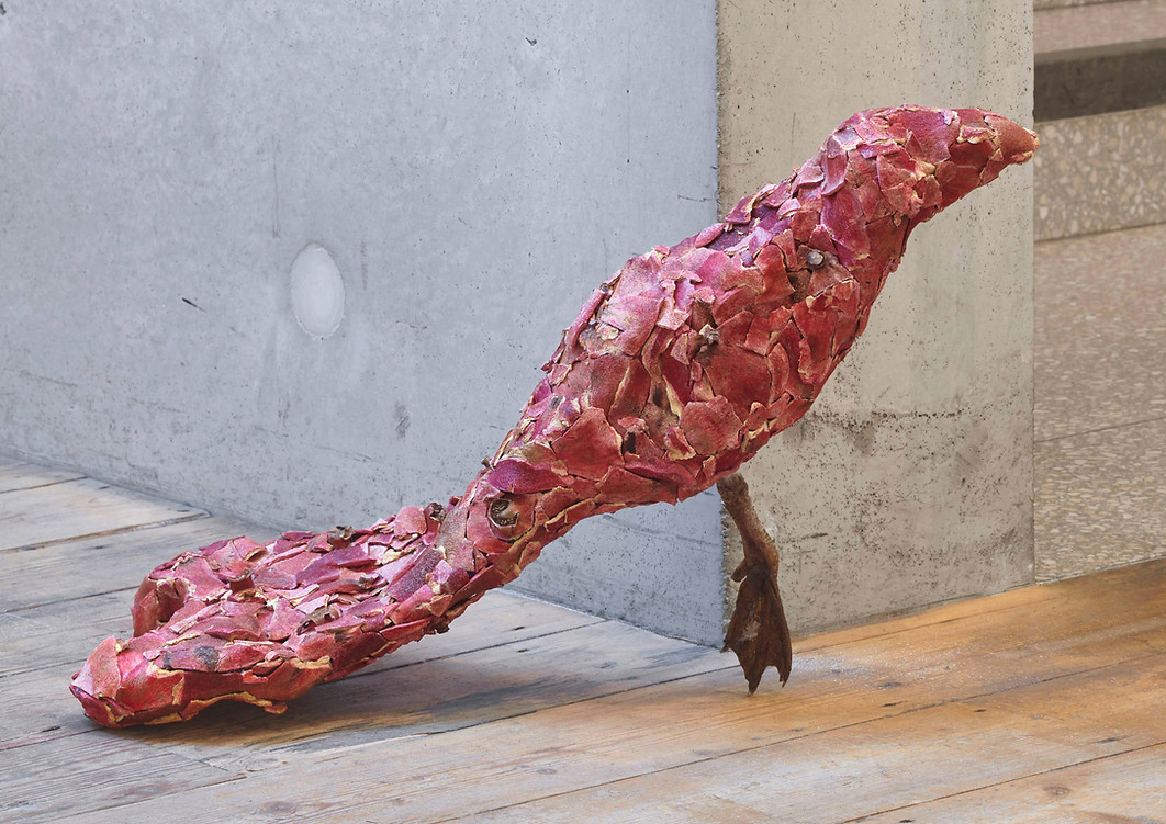Pomegranate Bird, 'Dusk Chorus'.jpg
