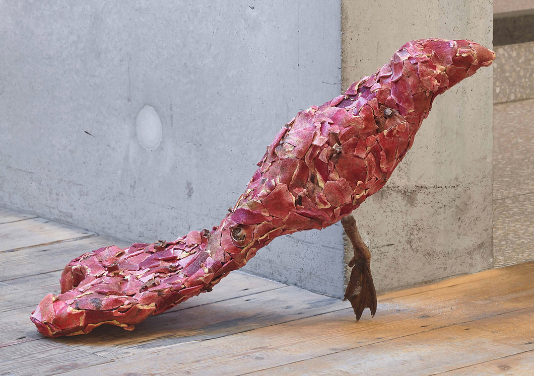 Pomegranate Bird, 'Dusk Chorus'.jpg