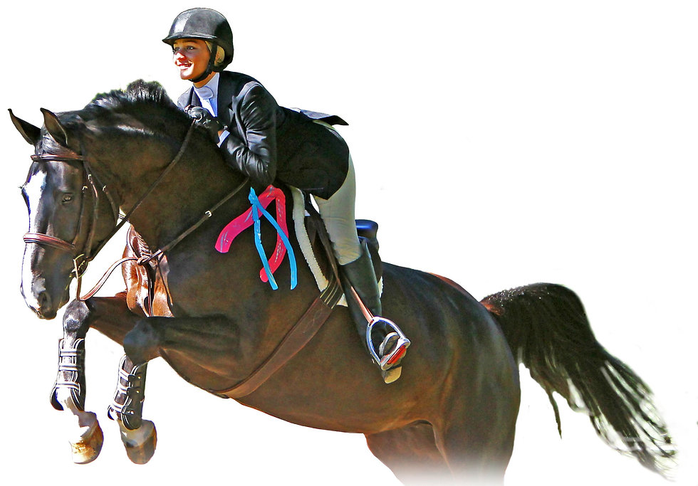 Image Jumping horse with tape .jpeg