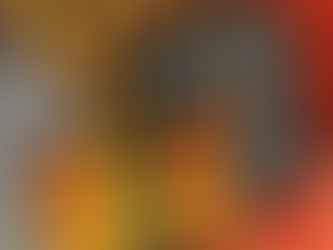 What's in a Potholder