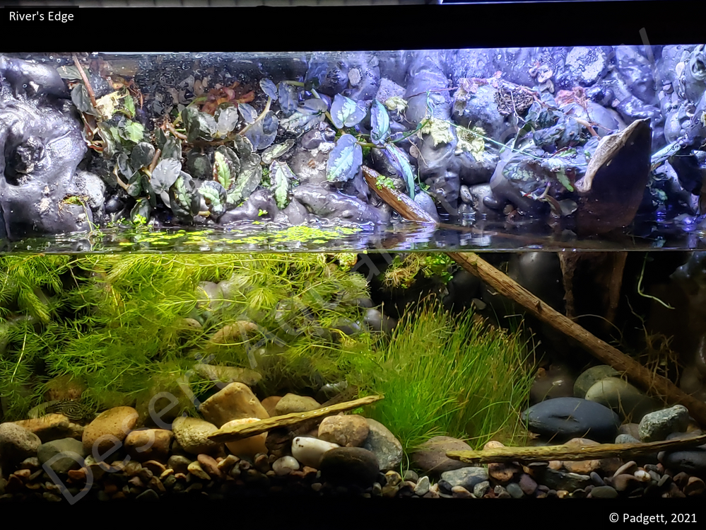 Padgett_RiversEdge.png