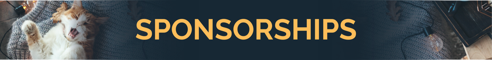 Wix Sections - Sponsorships.png