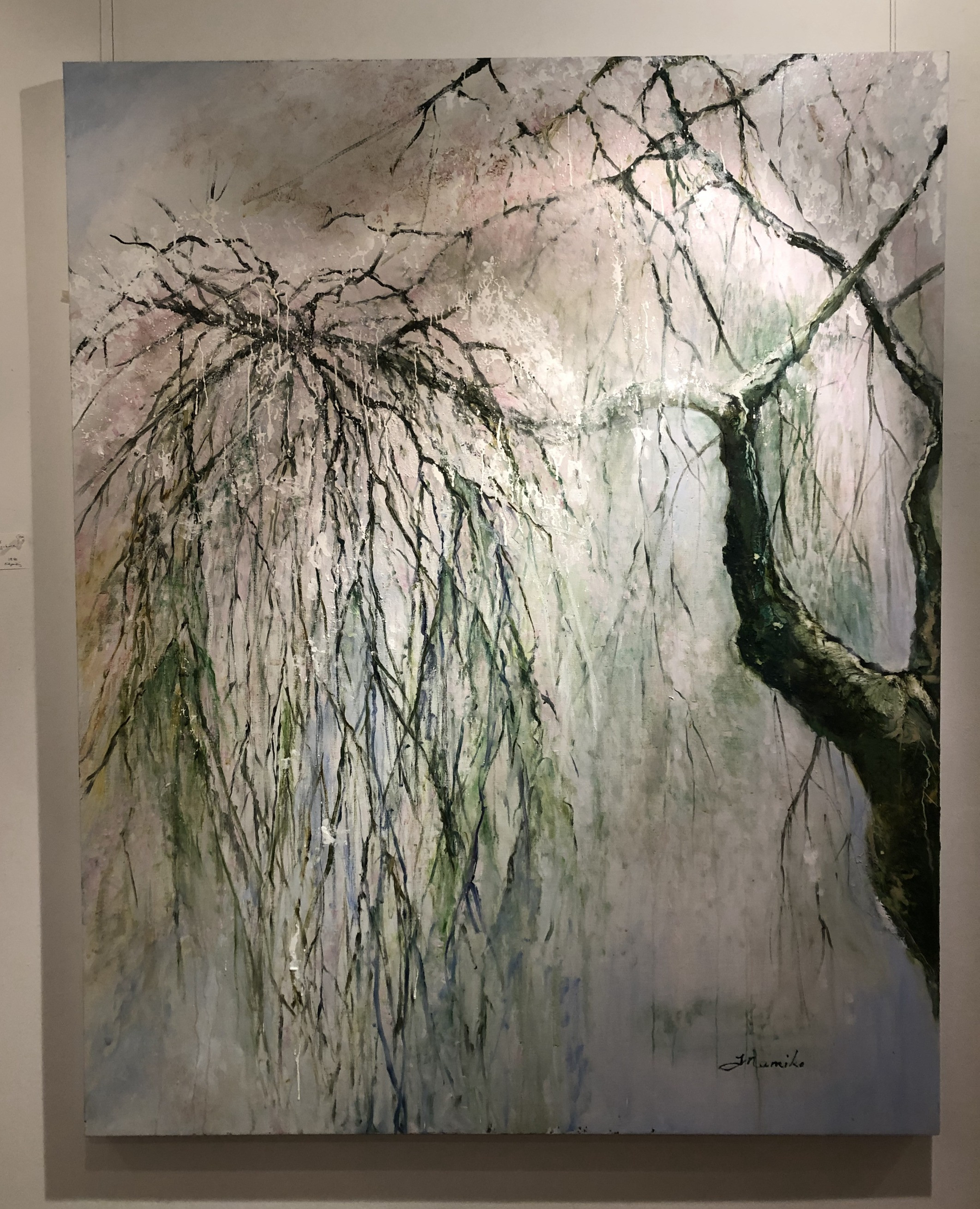 しだれ桜 / Weeping Cherry