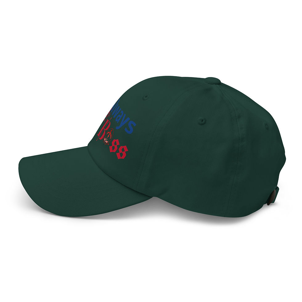 サムネイル： USA Dad hat
