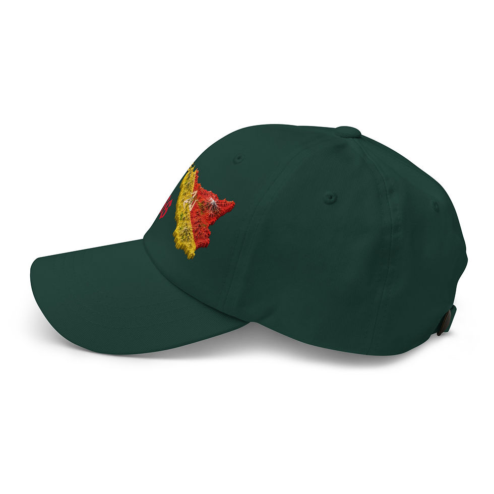 Miniaturbild: Sicily Boss Dad hat