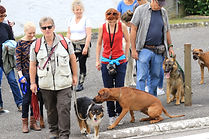 Formation éducateur canin Alsace