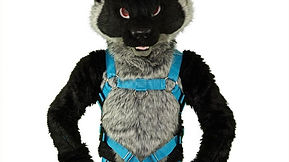 Full Bulldog Harness from Crunchycurl