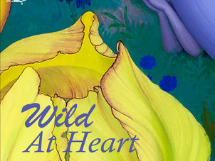 Sono Luminus Releases Wild at Heart from Pauline Kim Harris - Album Release Show on November 4