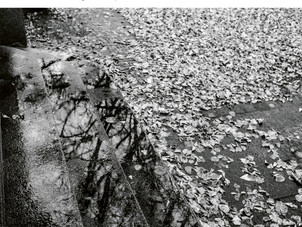 ECM New Series releases Leoš Janáček's On An Overgrown Path performed by Camerata Zürich