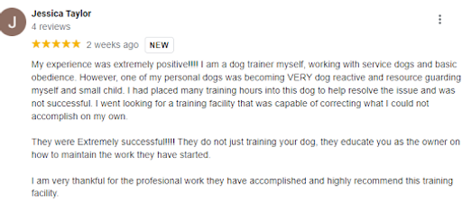 Obedience dog training Dallas area