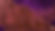 IMG_2994.jpeg