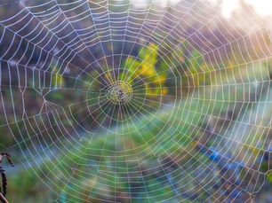 Tâm Trí Dính Mắc Là Gì?