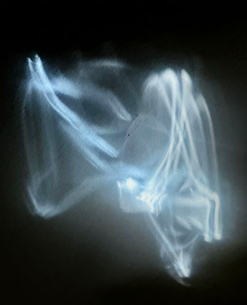 Photo-Abstract-4.jpg
