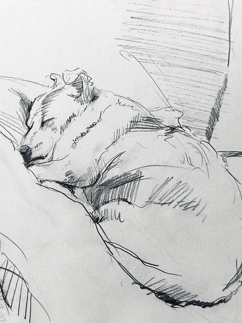 Posey Sleeping