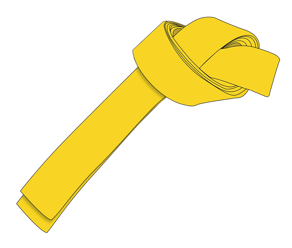 Yellow Belt