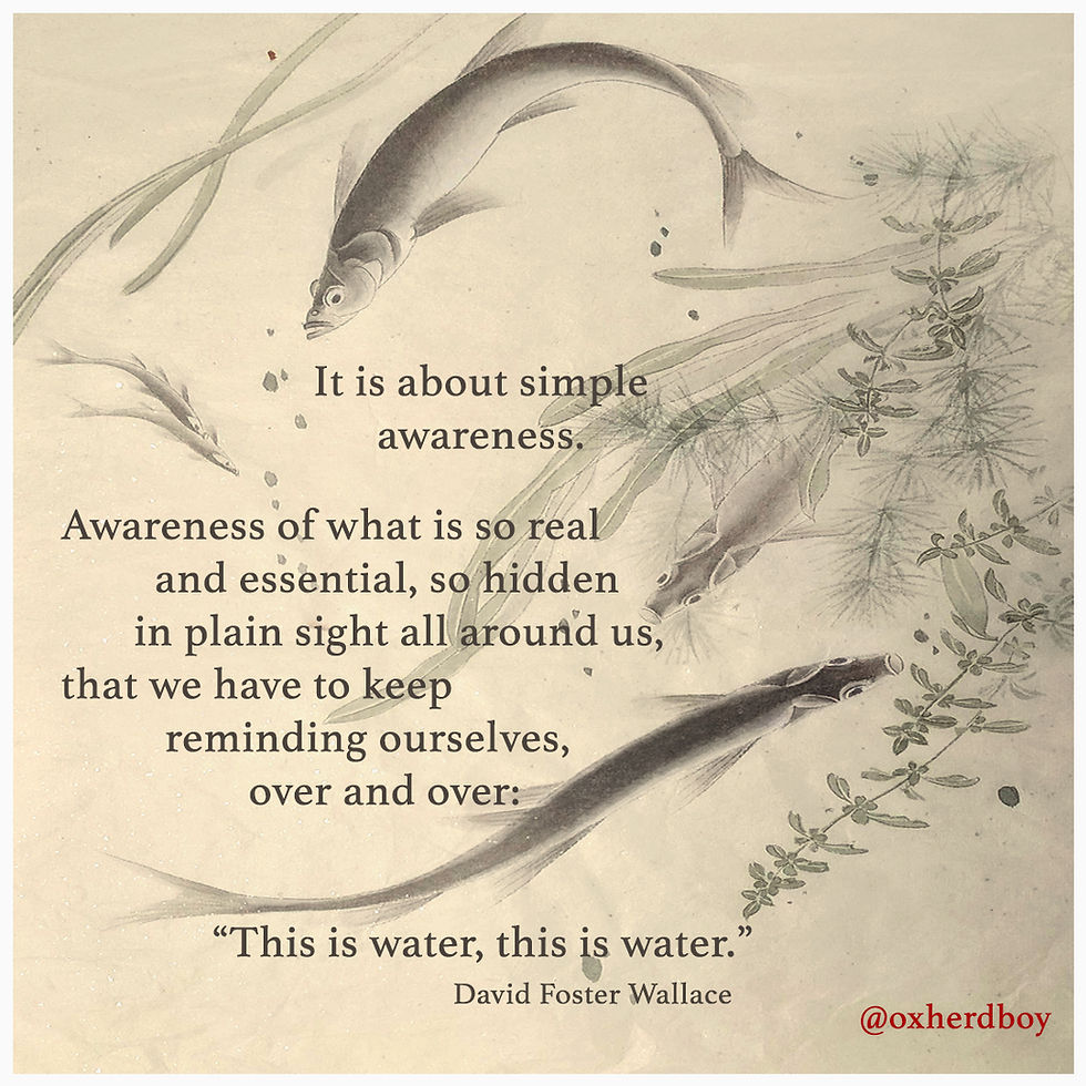 Oxherd Boy comic featuring fish as they swim illustrating David Foster Wallace's quote: This is water. Beautiful Chinese painting inspiring words
