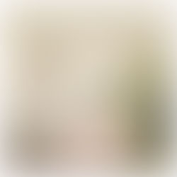 #023: Color