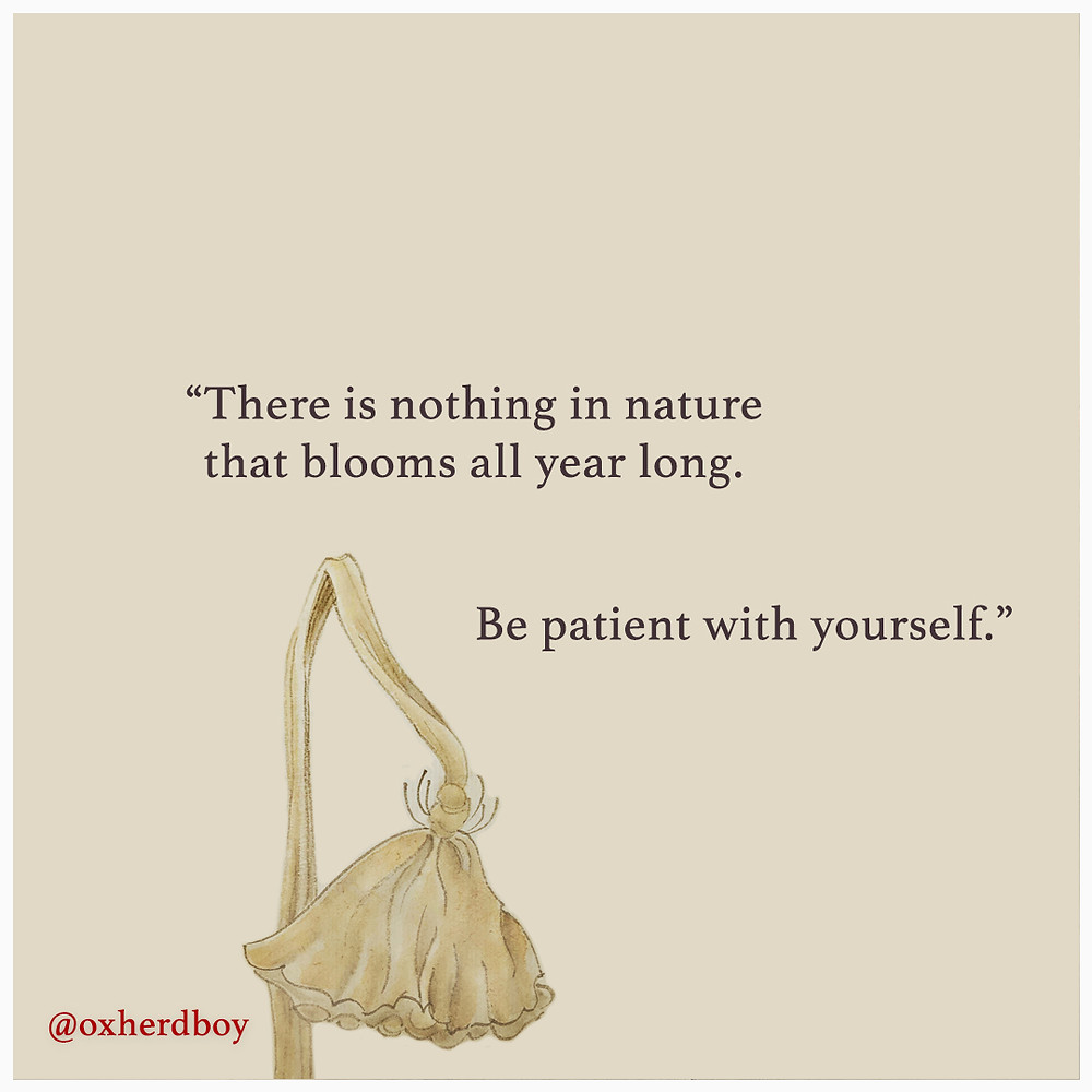 Oxherd Boy comic showing a wilted lotus flower with the quote: There is nothing in nature that blooms all year long. Be patient with yourself. Beautiful illustration, Chinese painting, inspiring words.