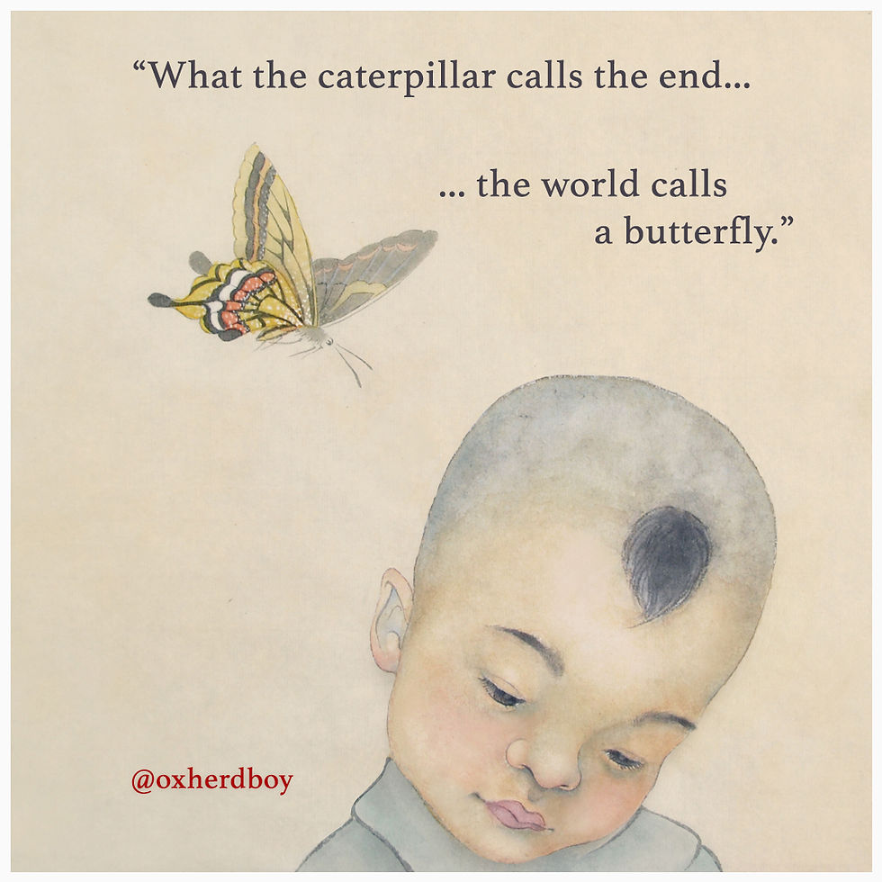 Butterfly and boy beautiful illustration inspiring quote Chinese painting Oxherd Boy