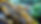 321100536_497558962445526_1191088852986035649_n.jpg