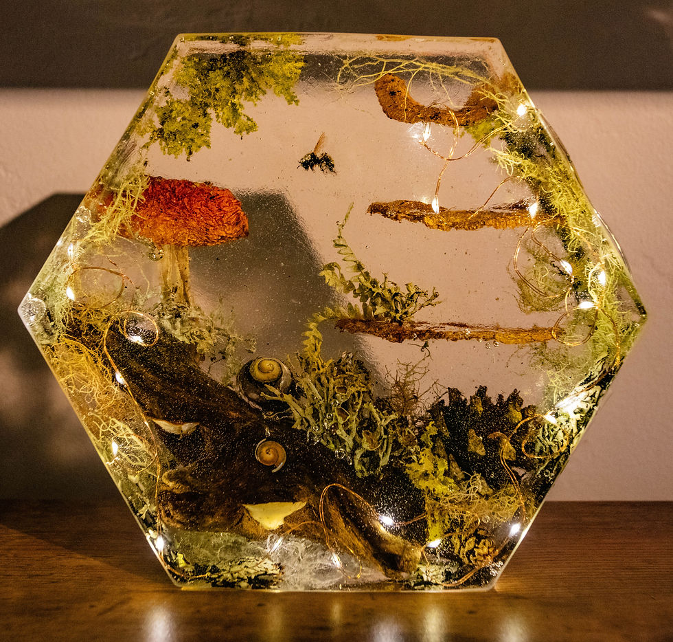 Thumbnail: Fungi Forest ~fairy lights~