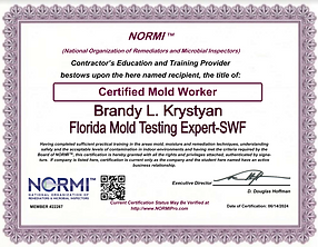 Normi Mold Certification - Brandy Krystyan