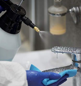 Mold Remediation